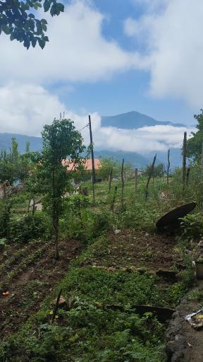 عکس علی آباد کتول