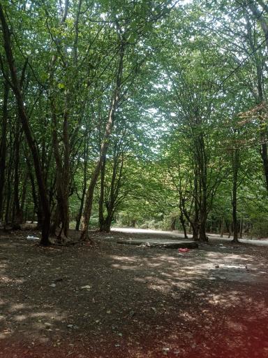 عکس علی آباد کتول