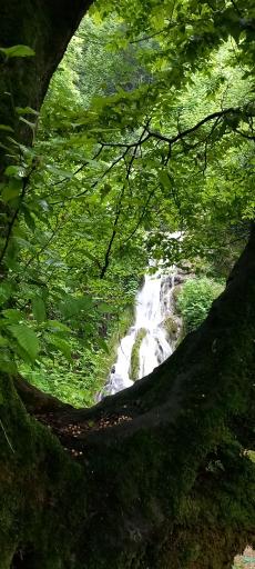 عکس علی آباد کتول