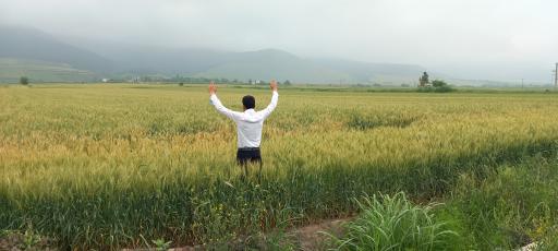 عکس علی آباد کتول