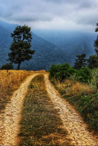 عکس علی آباد کتول