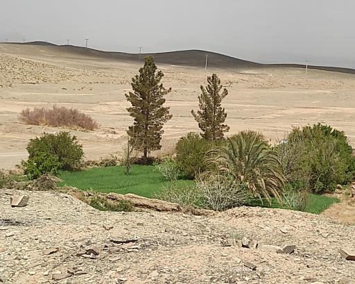 عکس میغان