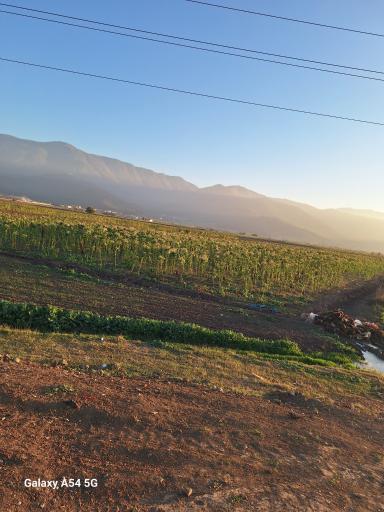 عکس علی آباد کتول