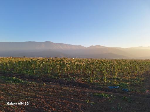 عکس علی آباد کتول