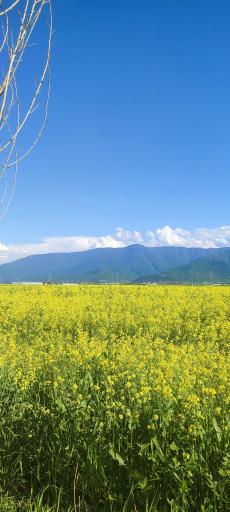 عکس علی آباد کتول