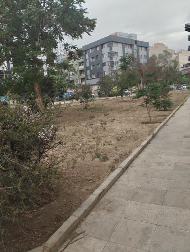 عکس بوستان میخک 