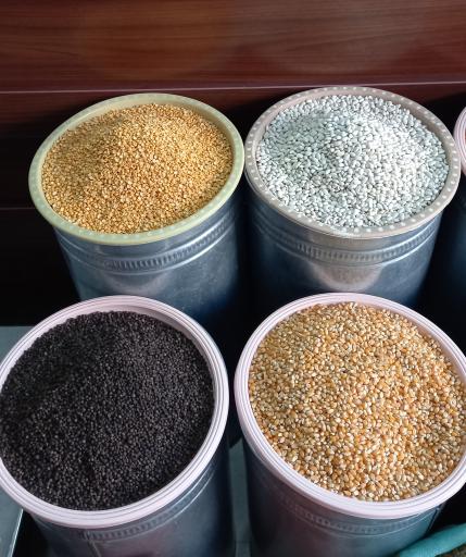 عکس بازرگانی ( باروکا طلایی ) برادران غلامی