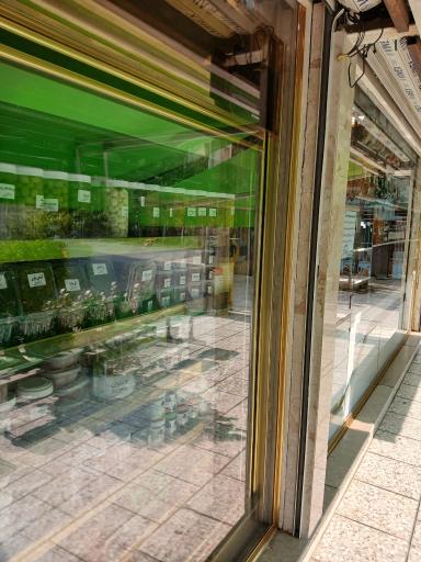 عکس سبزیجات فلفلی ناب