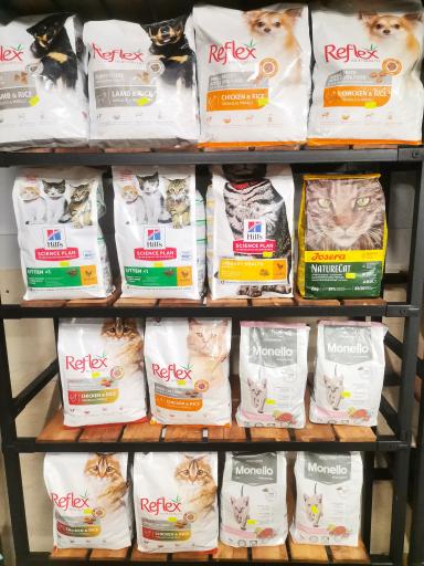 عکس پت شاپ منوپتم