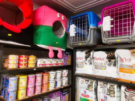 عکس پت شاپ منوپتم