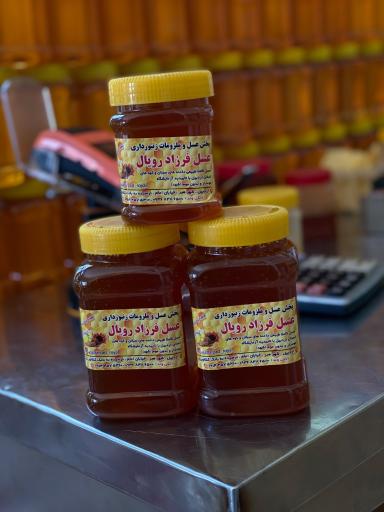 عکس عسل فرزاد
