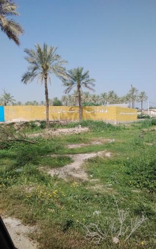 عکس کارگاه تولید عرقیات طبیعی برمکی