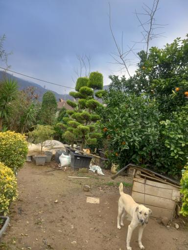 عکس نهالستان علمدار