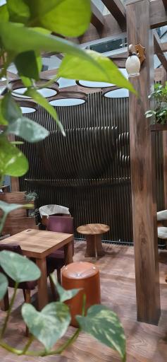 کافه ناردونه