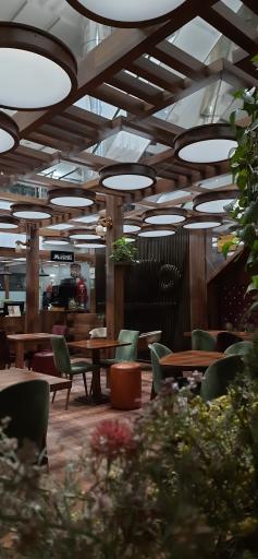 کافه ناردونه