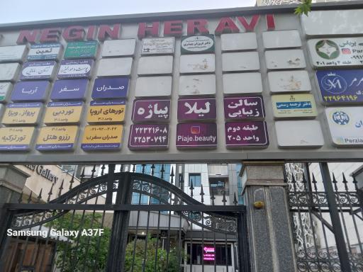 عکس مجتمع نگین هروی