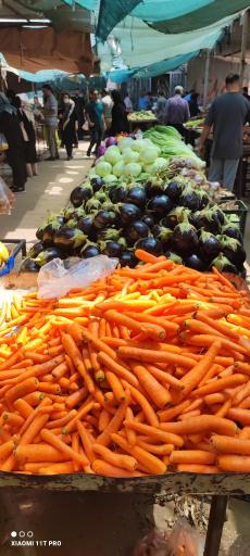 عکس بازارچه میوه و ماهی  ملت