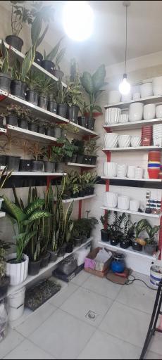 عکس گلکده باغ بهشت