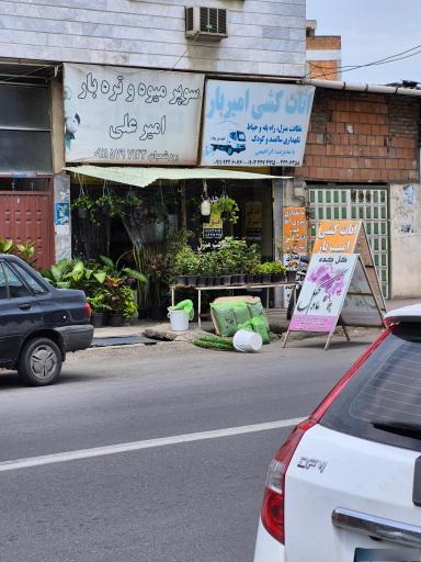 عکس گل کده ماه گل