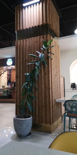 عکس سیتی سنتر خلیج فارس