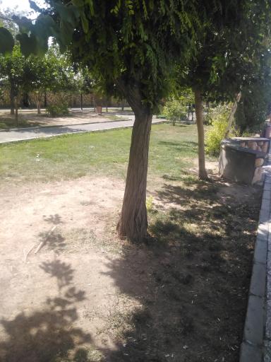 عکس بوستان دبیر