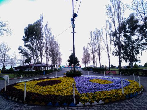 عکس بوستان لاله