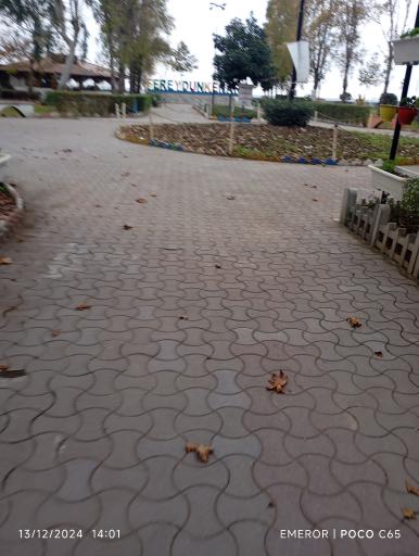 عکس بوستان لاله