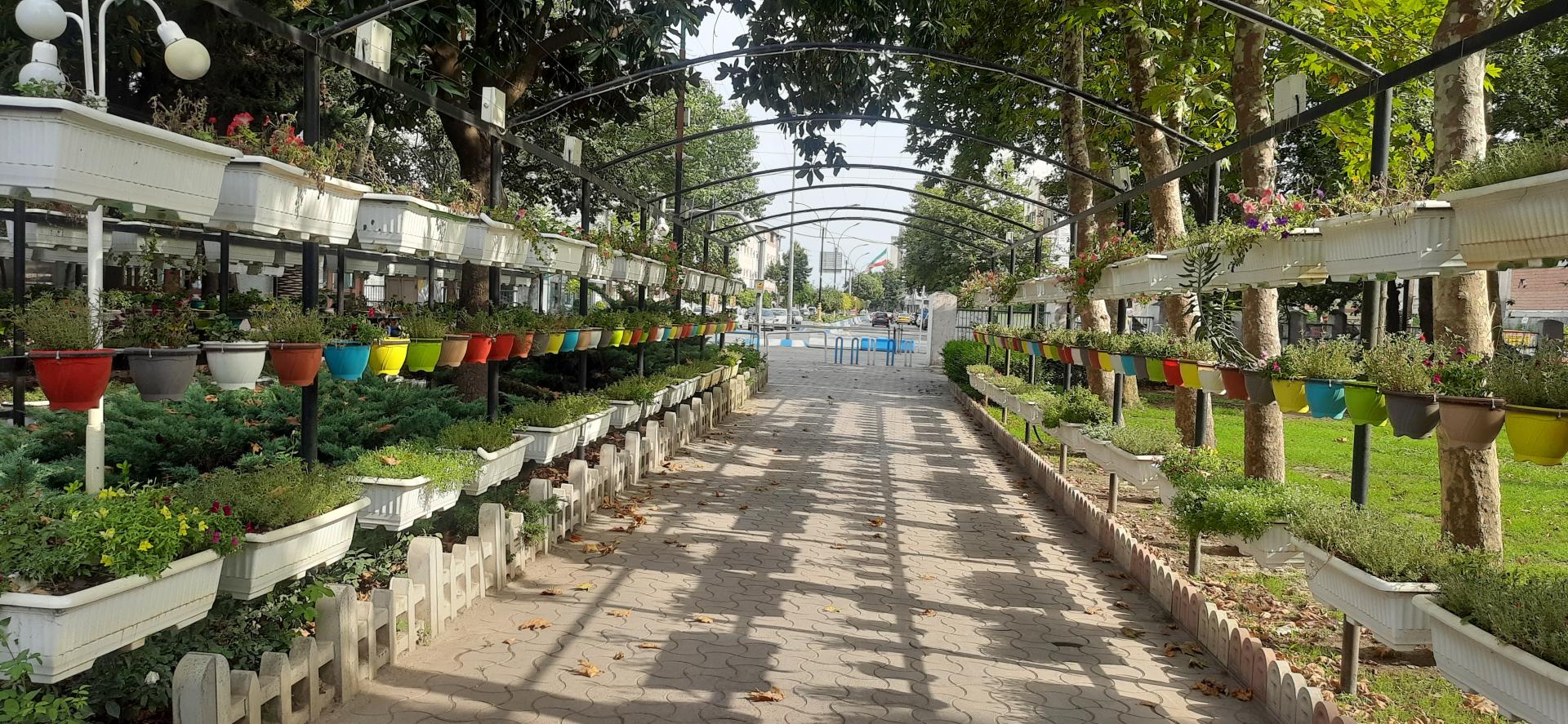 عکس بوستان لاله