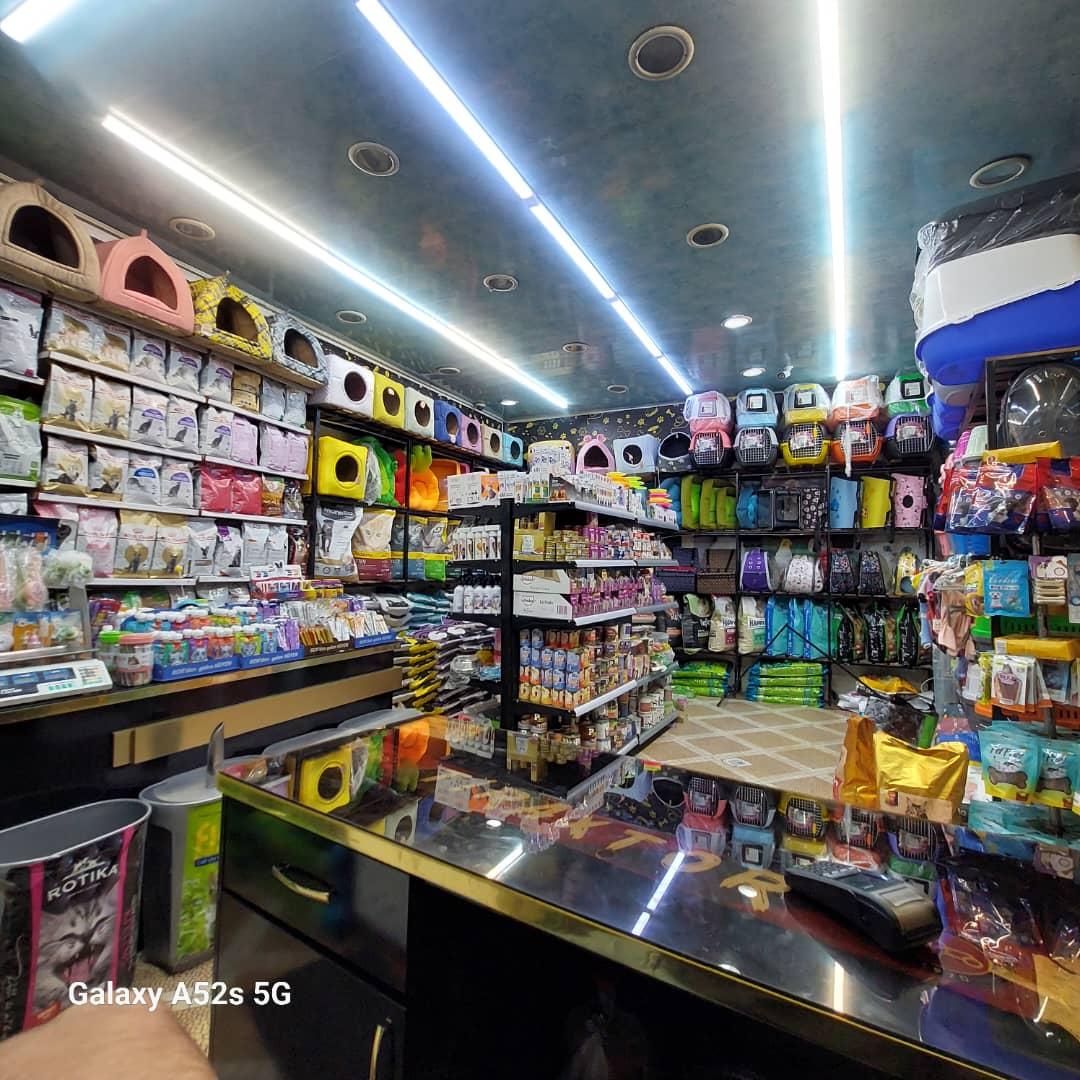 عکس پت شاپ فیدو