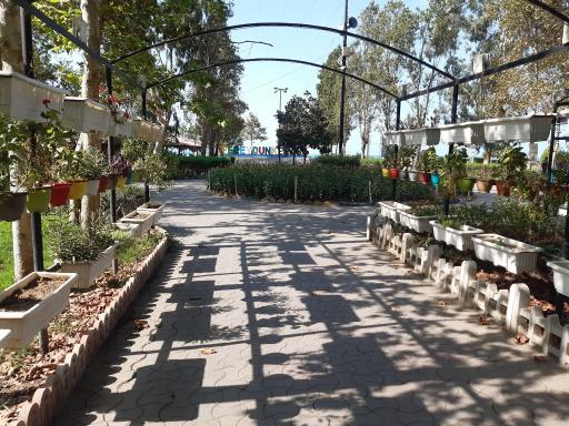 عکس بوستان لاله