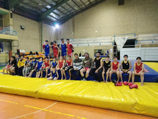 عکس خانه ووشو