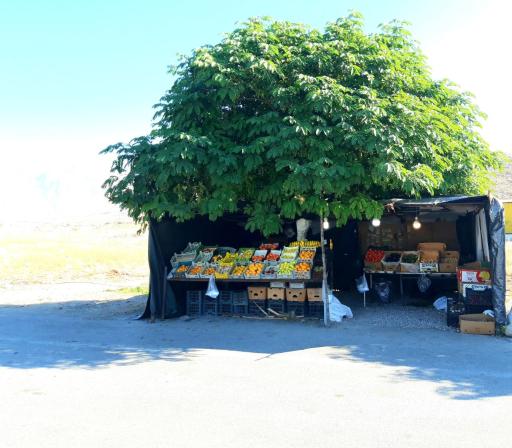 عکس میوه و تره بار فروشی شرافتی 