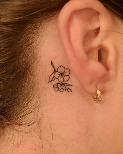 عکس مرکز تخصصی میکروبیتا