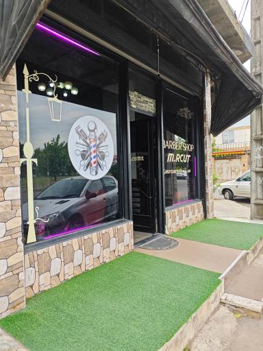 عکس مستر کات