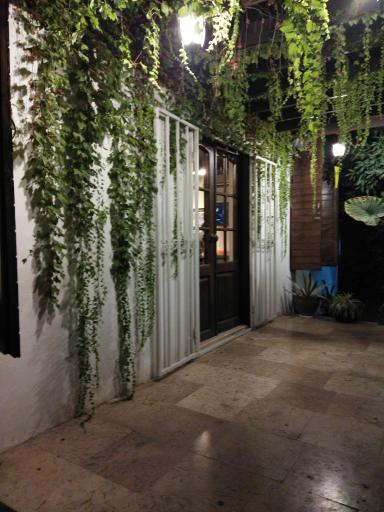 عکس کافه گالری کوچه