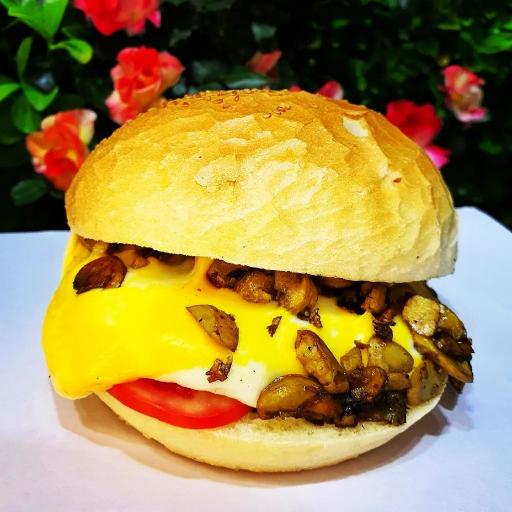 عکس برگر سیتی