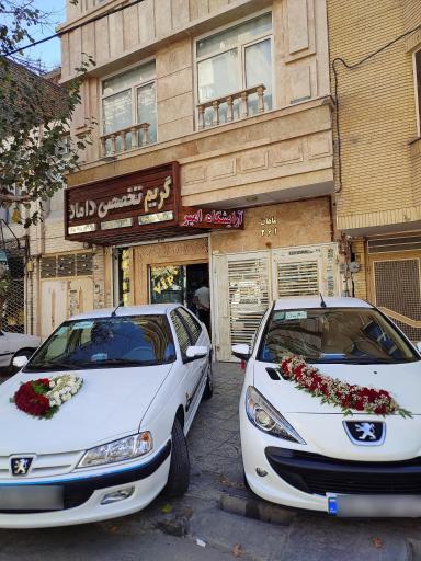 عکس چهره پردازان امیر