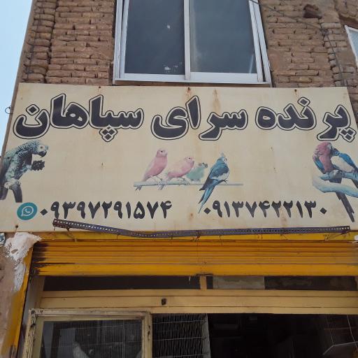 عکس پرنده سرای سپاهان