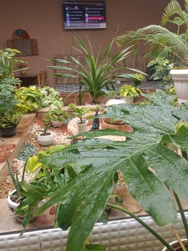 جگرسرای مجید