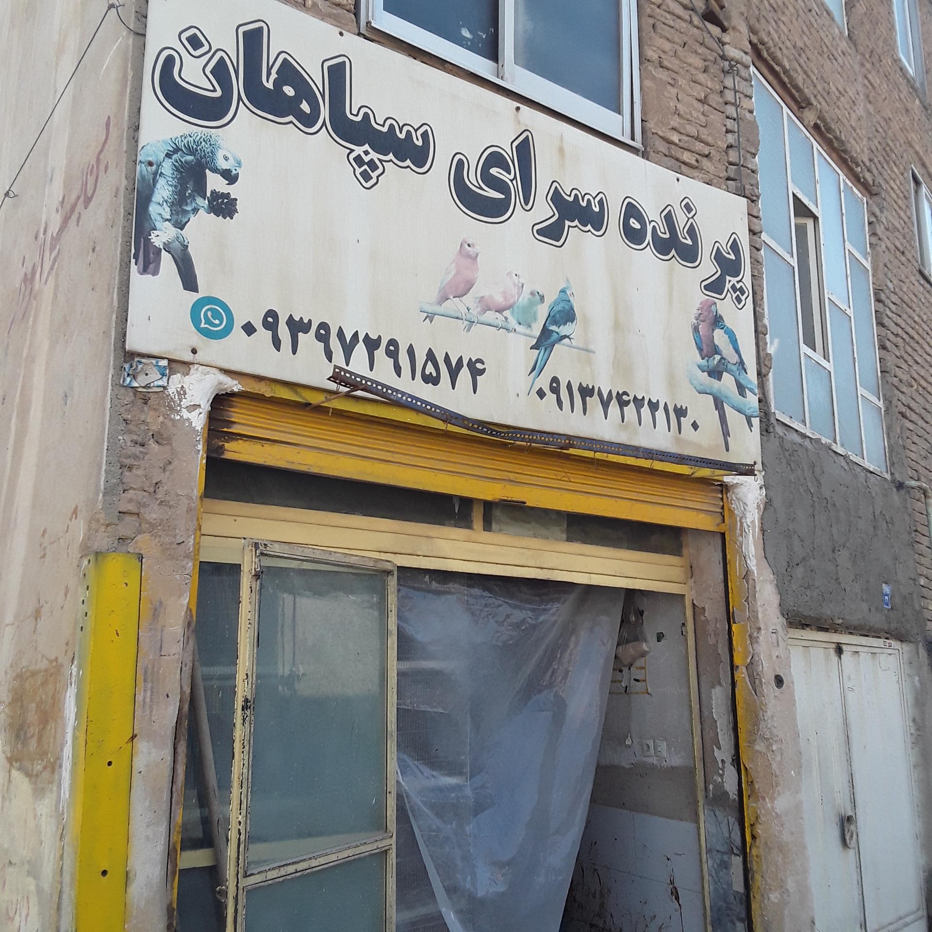 عکس پرنده سرای سپاهان