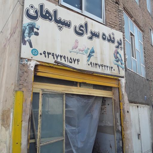 عکس پرنده سرای سپاهان