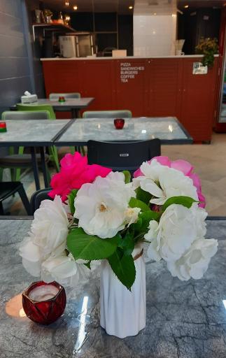 عکس پیتزا دوج