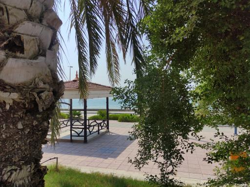 عکس بوستان نصوری