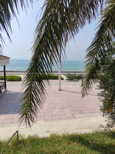 عکس بوستان نصوری