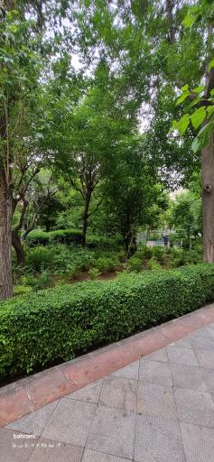 عکس بوستان مینا