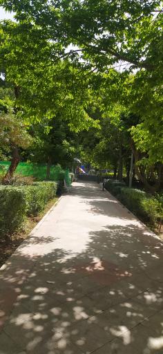 عکس بوستان مینا