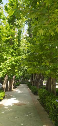 عکس بوستان مینا