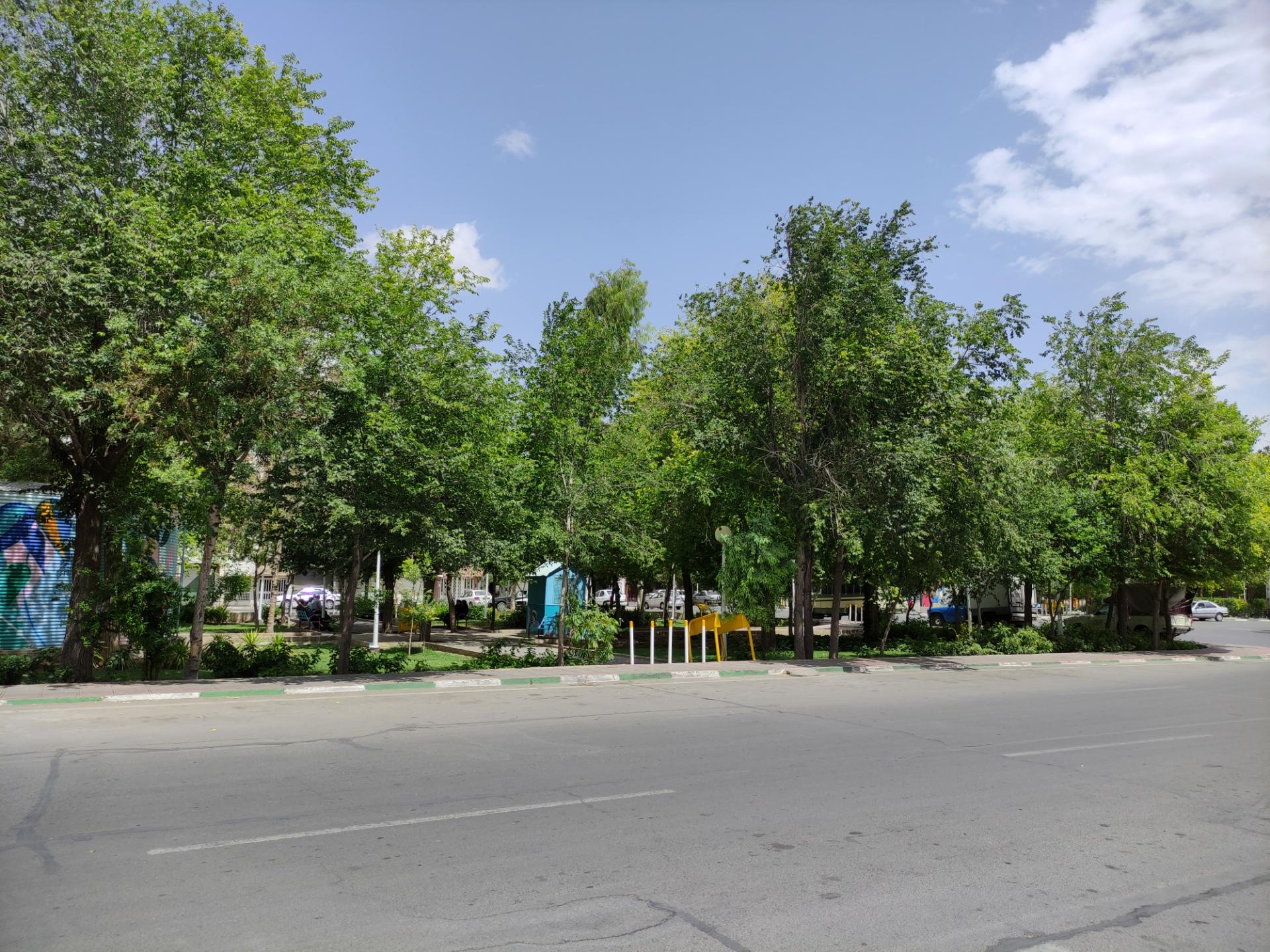 عکس بوستان حافظ