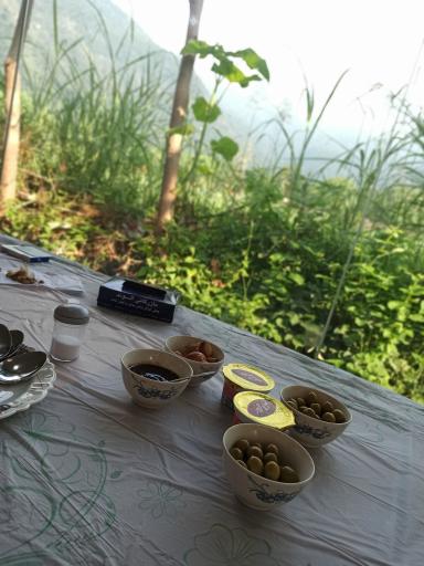 عکس مهمانپذیر میکائیل