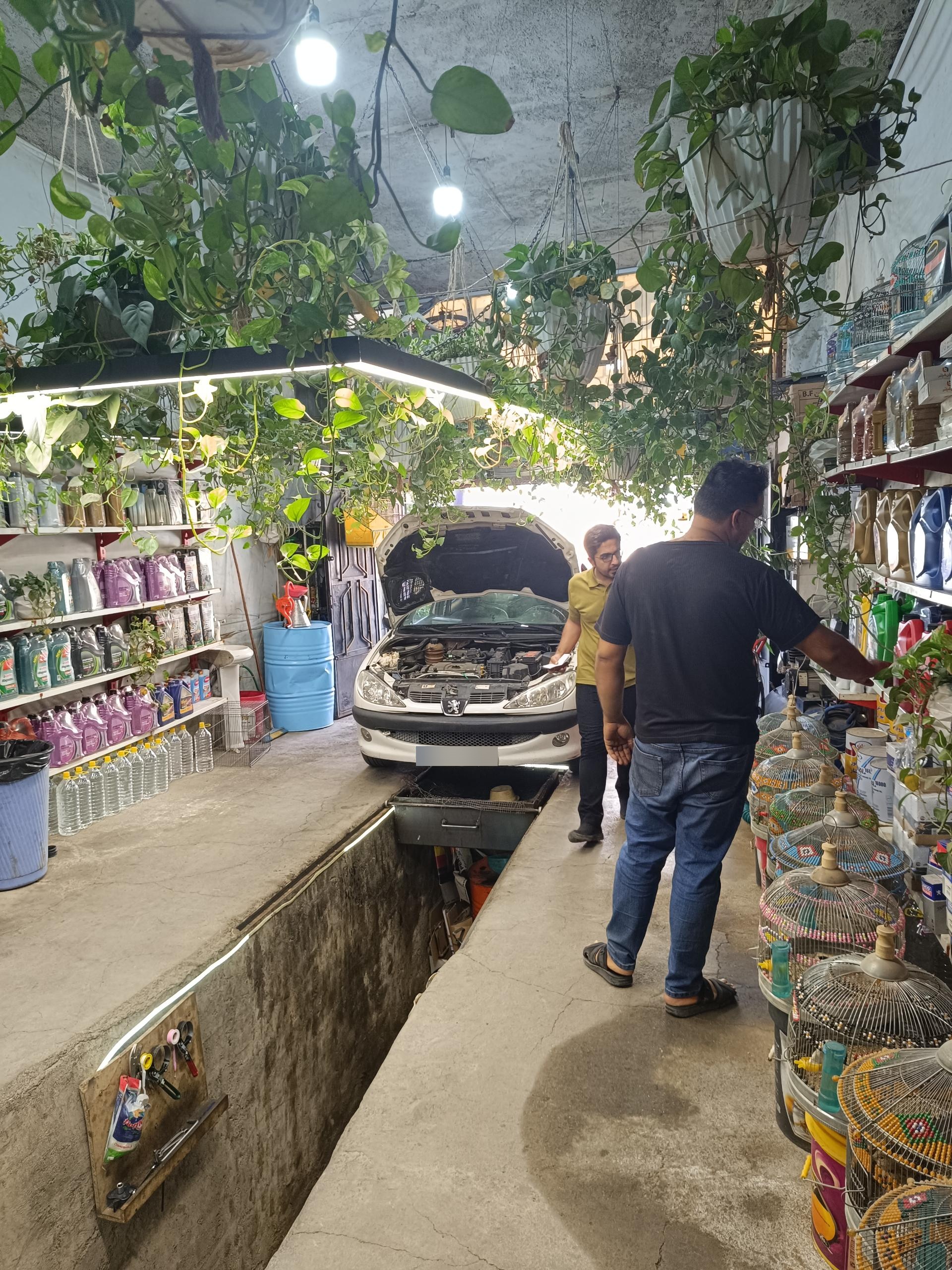 عکس اتوسرویس ایرانیان